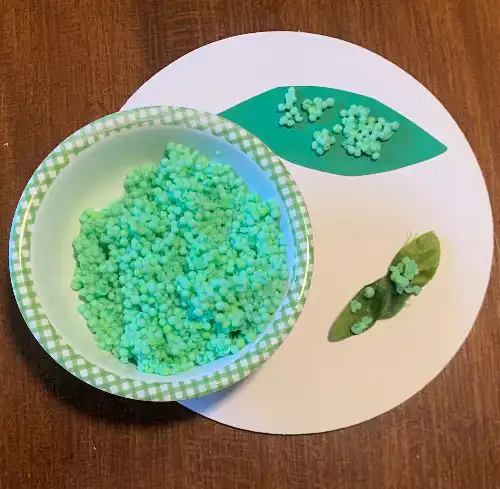 dirt activity for preschoolers