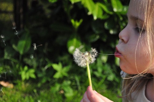 outdoor learning in the outdoor classroom tips