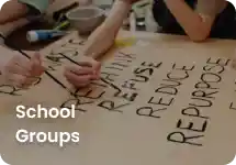 School Groups