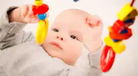 Infant Discovery of Object Permanence