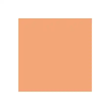 Dual Purpose Colored Copy Paper, Salmon