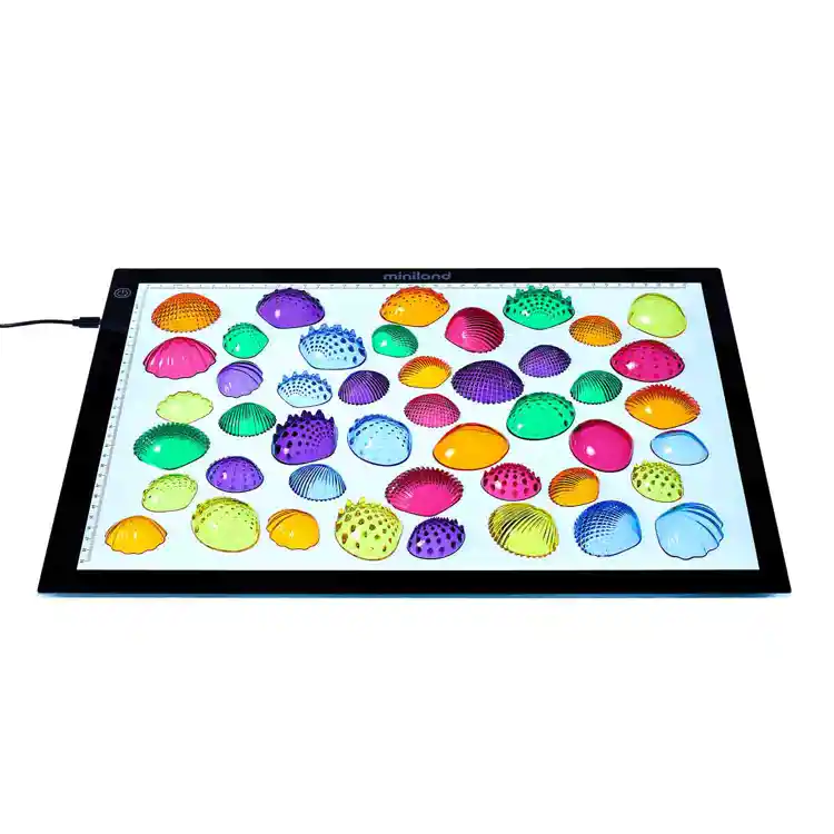 Translucent Tactile Shells Set