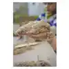 Kinetic Sand