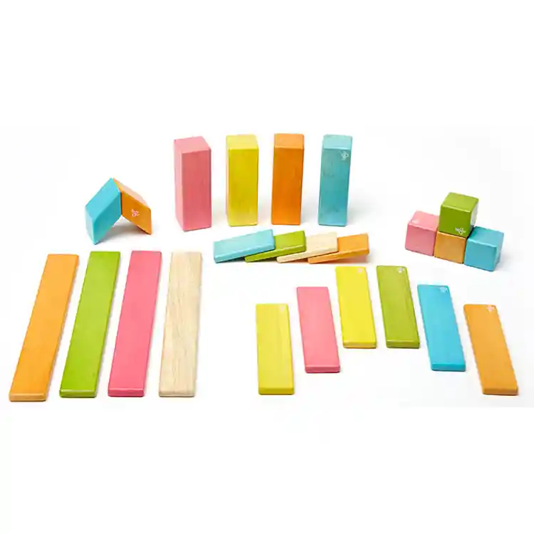 Tegu Magnetic Wooden Blocks, 24 Pieces - Tints