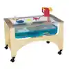 See-Thru Sensory Table