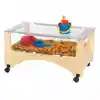 See-Thru Sensory Table