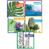 Exploring Habitats Book Set