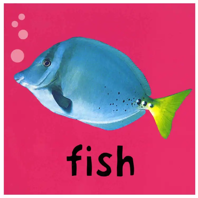 Bright Baby Board Book Set