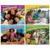 Celebrating Differences Book Set