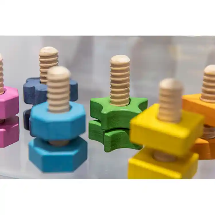Rainbow Wooden Nuts & Bolts