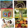 Math Around Us Book Set