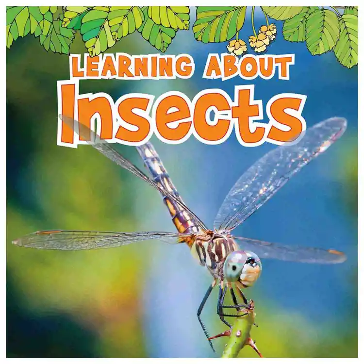 Learning About Insects