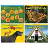 Math Every Day Book Set