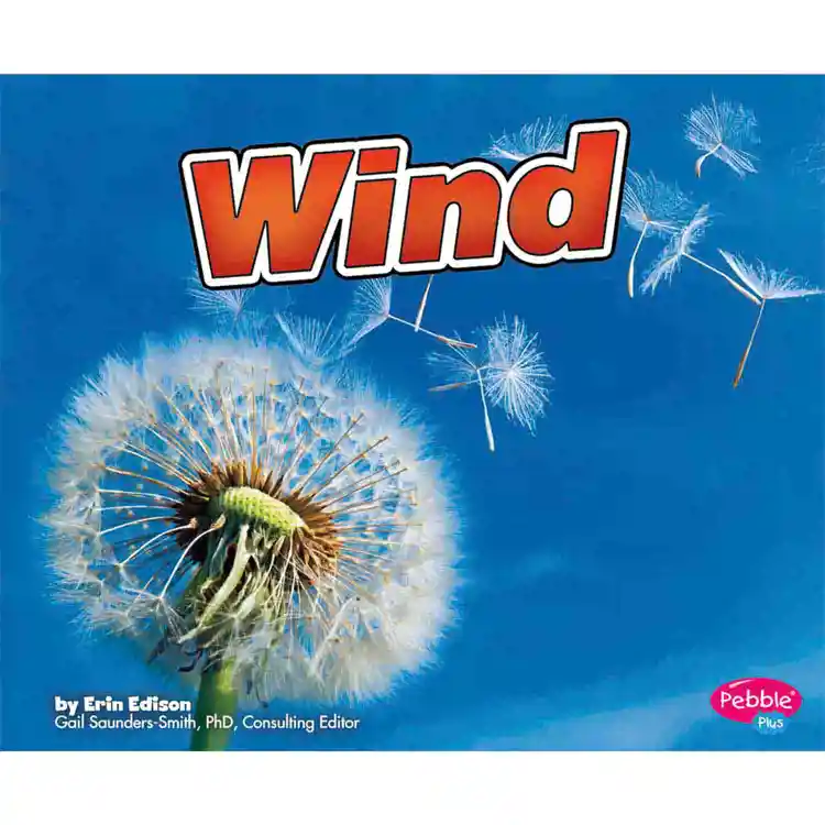 Wind