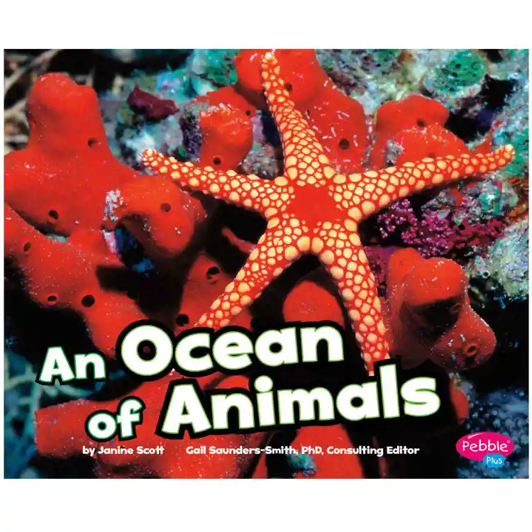 An Ocean of Animals