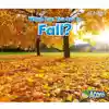 What Can You See in Fall?