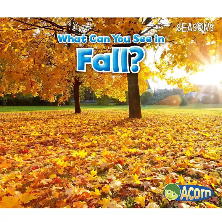 What Can You See in Fall?