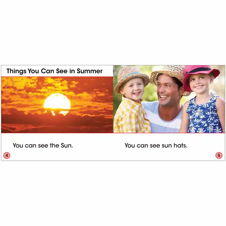 What Can You See In Summer?