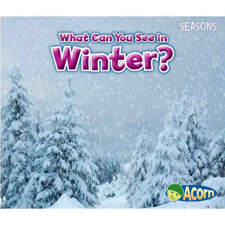 What Can You See in Winter?