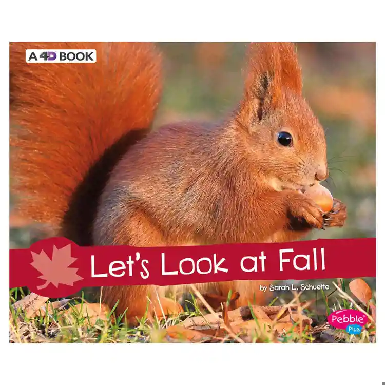 Let's Look at Fall