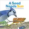 A Seed Needs Sun