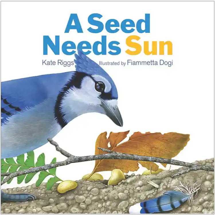 A Seed Needs Sun