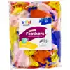 Artful Goods® Feathers, Hot Colors