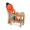 Outdoor Art Supply Cart