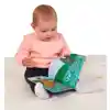 Baby-Proof Books, Cuddly Bear