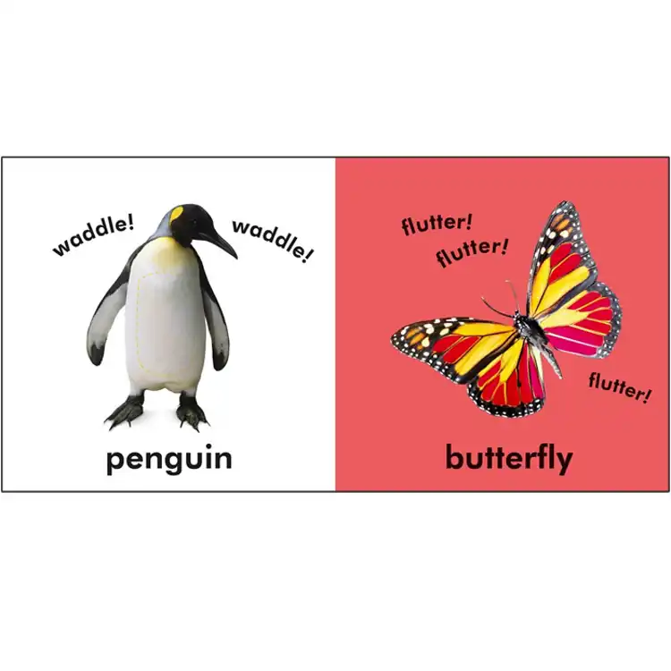 Baby Touch & Feel Board Book Set