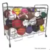 Portable Lockable Sports Cart