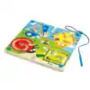 Best Bugs Magnetic Maze