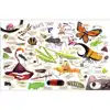 Theme Book Set: Insects & Spiders