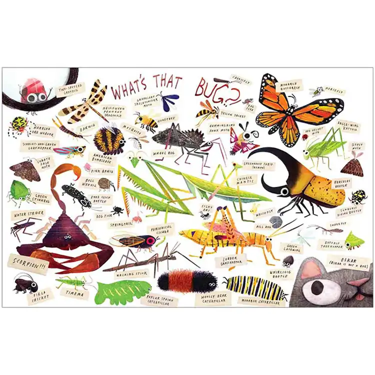 Theme Book Set: Insects & Spiders