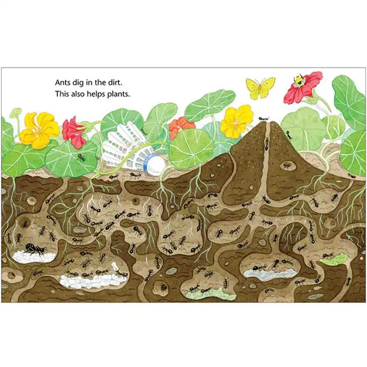 Theme Book Set: Insects & Spiders