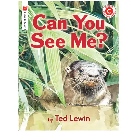 Can You See Me?