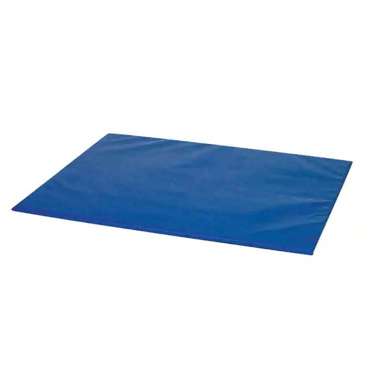 Primary Mat