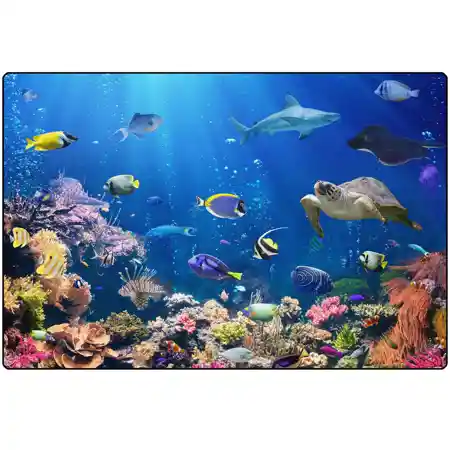 Explore the Ocean Rug
