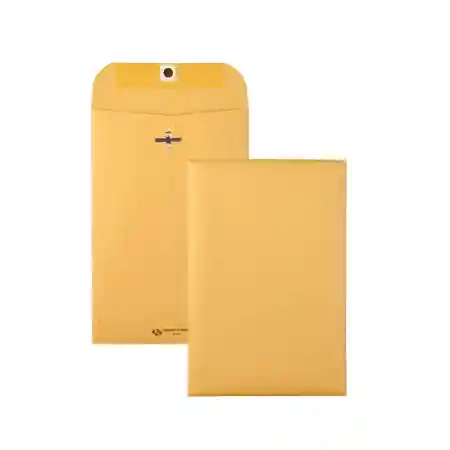 Clasp Envelopes, 6" x 9"