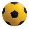 Coated Foam Balls, Set of 4