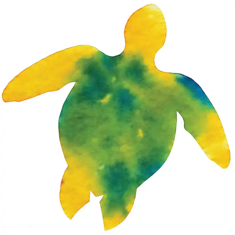 Color Diffusing Paper Shapes Class Set