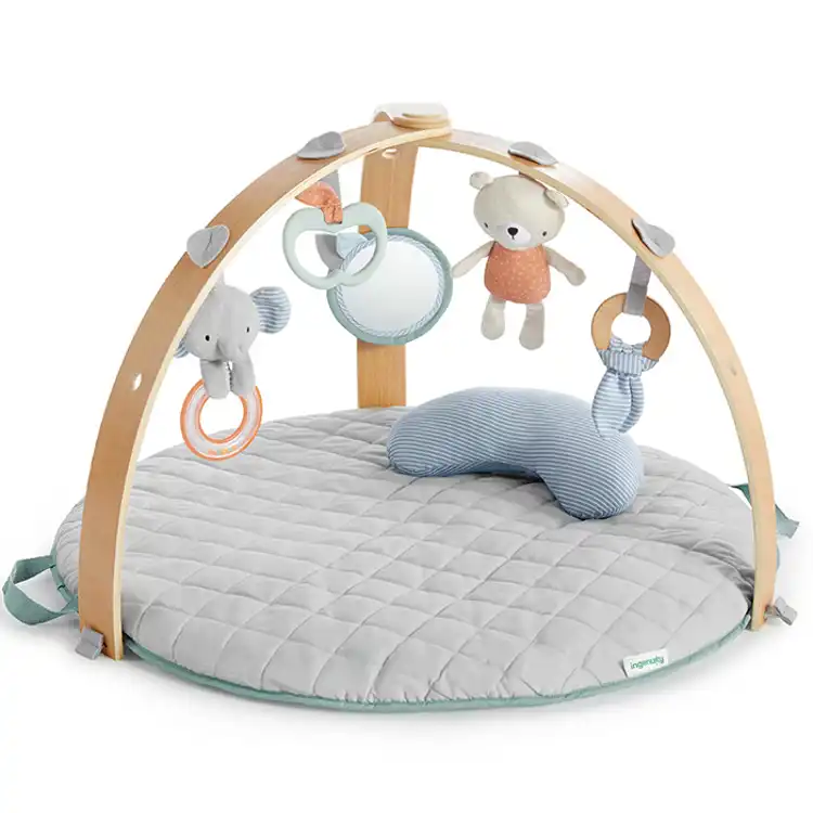 Cozy Spot Activity Gym