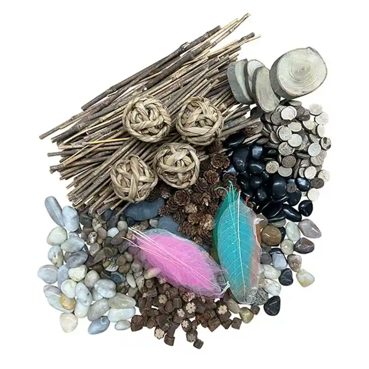 Naturals Discovery Set