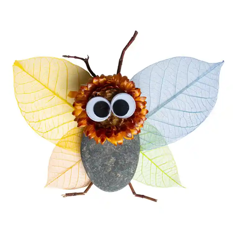 Naturals Discovery Set