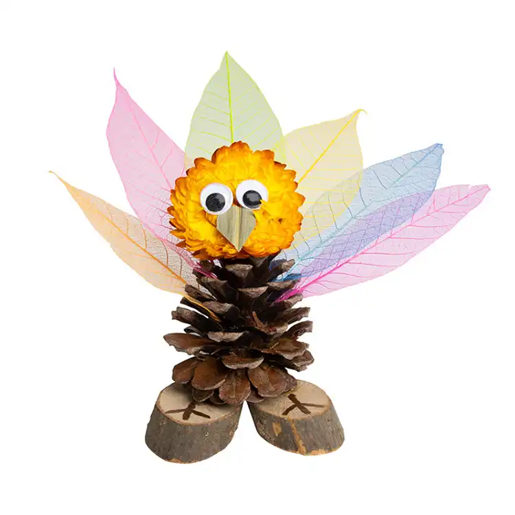 Naturals Woodland Wonders Set