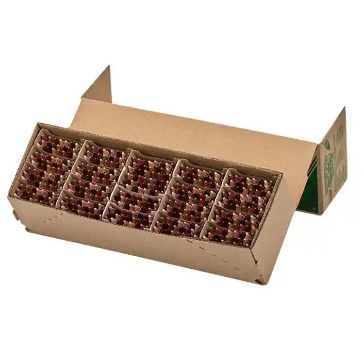 Crayola® Colors of the World™ Crayons Classpack®