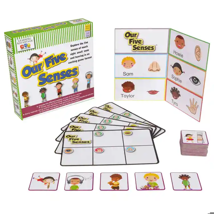 Our Five Senses Game