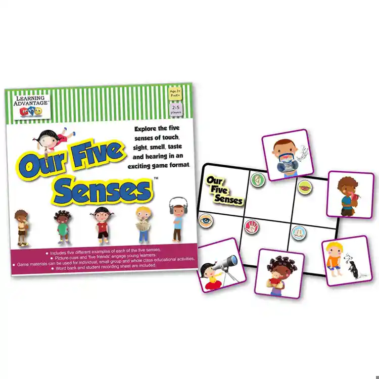 Our Five Senses Game