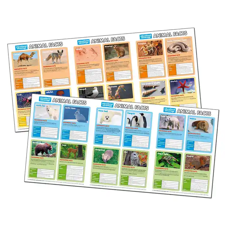 Animal Habitats Game