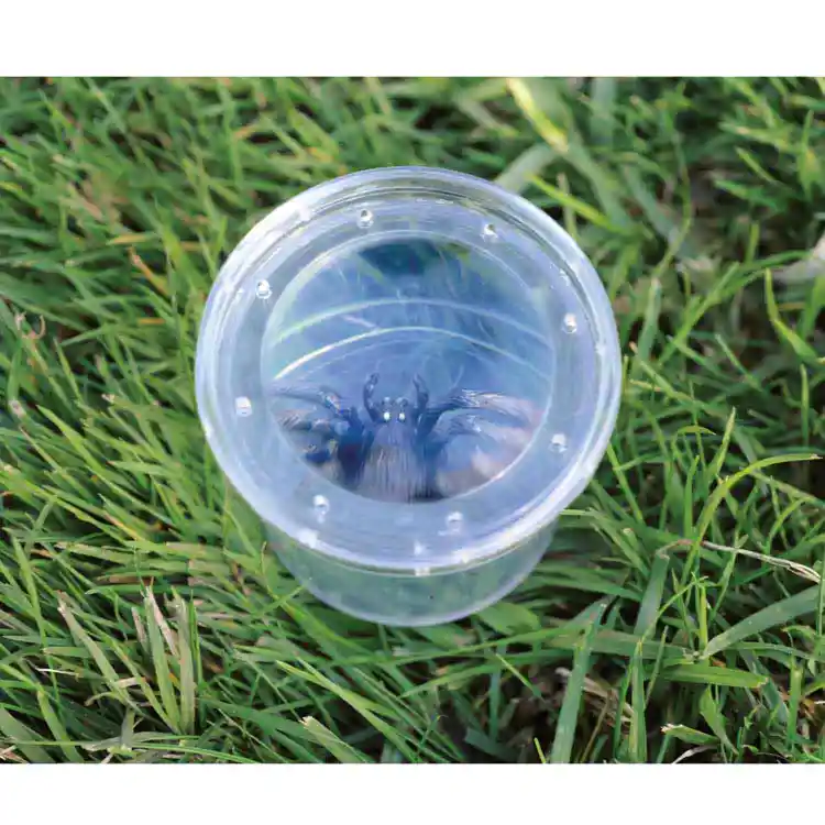 GeoSafari® Jr. Bug Viewers, Set of 6